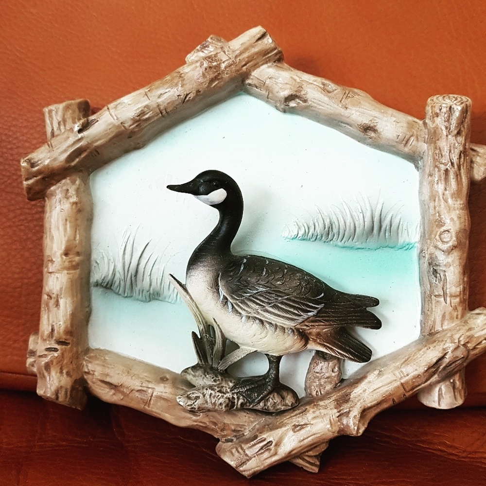 Meet your Posher, Jacqui